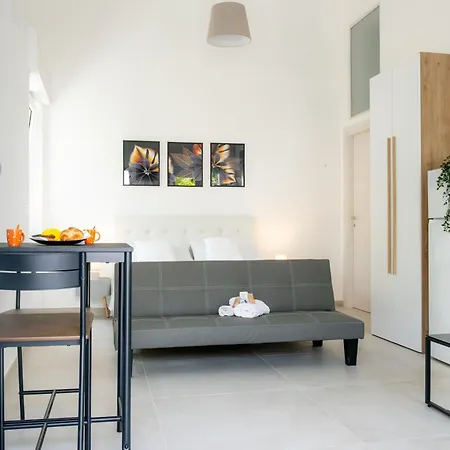 Magnifico Con Giardino Nel Centro Di Appartamento *