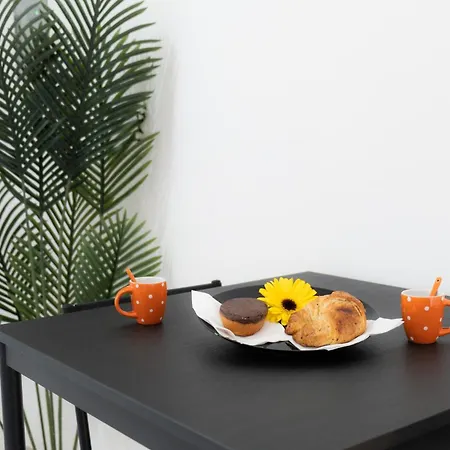 Apartamento Magnifico Con Giardino Nel Centro Di *